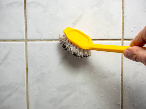 Best Fast Mold Removal  in Glendale, CO