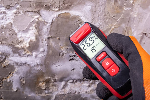 Best Commercial Mold Removal  in Glendale, CO